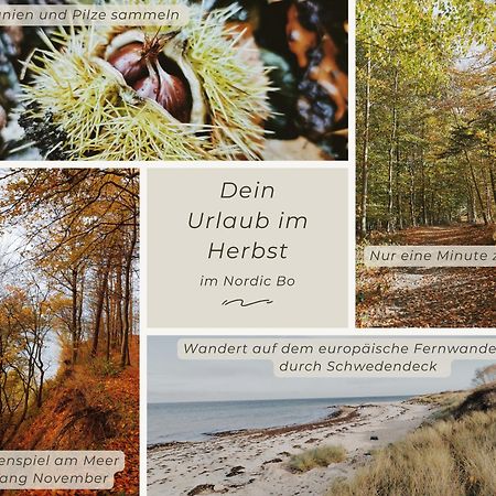 Surendorf Nordic Bo -Wellen Wald Und Wilde Kueste- Strandnahe Doppelhaushaelfte Mit Waldterrasse מראה חיצוני תמונה