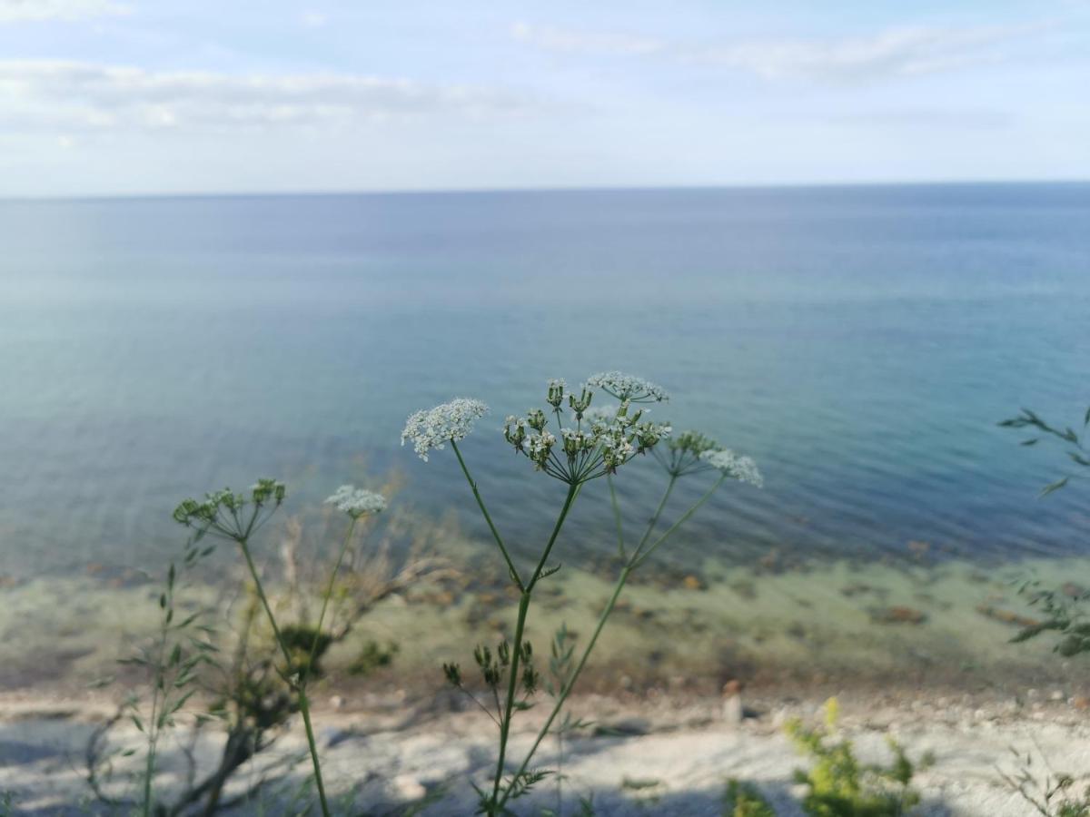 Surendorf Nordic Bo -Wellen Wald Und Wilde Kueste- Strandnahe Doppelhaushaelfte Mit Waldterrasse מראה חיצוני תמונה