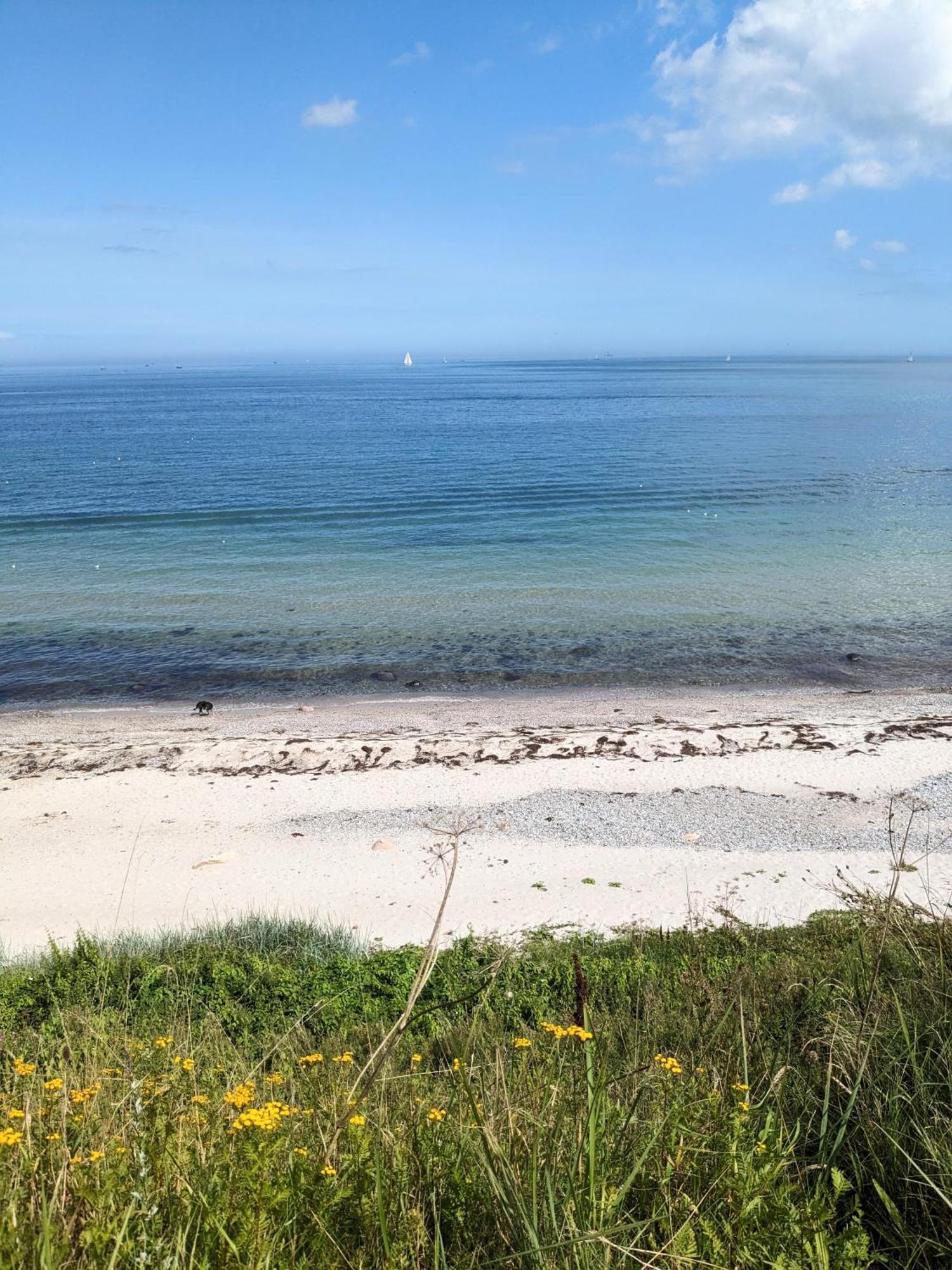 Surendorf Nordic Bo -Wellen Wald Und Wilde Kueste- Strandnahe Doppelhaushaelfte Mit Waldterrasse מראה חיצוני תמונה
