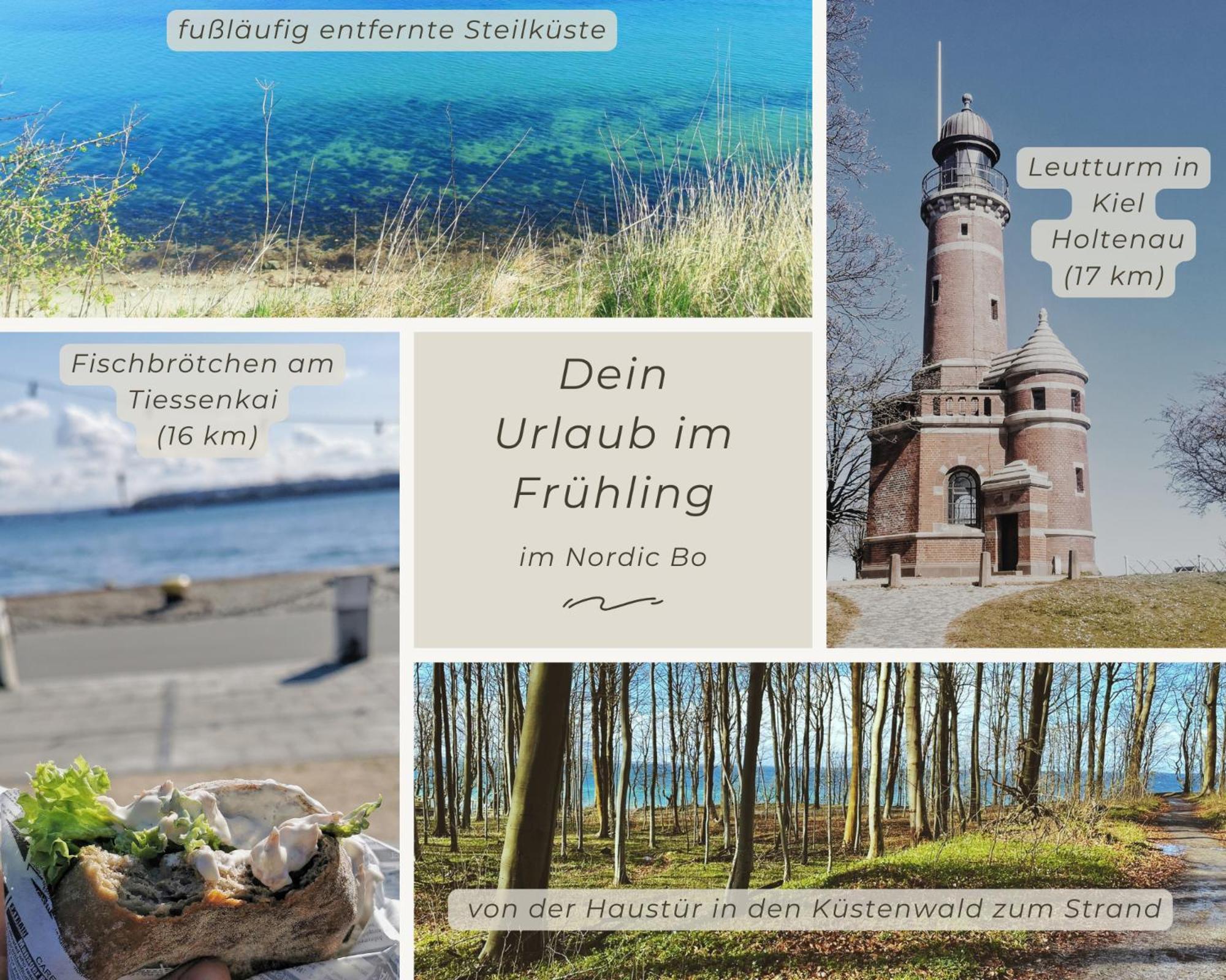 Surendorf Nordic Bo -Wellen Wald Und Wilde Kueste- Strandnahe Doppelhaushaelfte Mit Waldterrasse מראה חיצוני תמונה