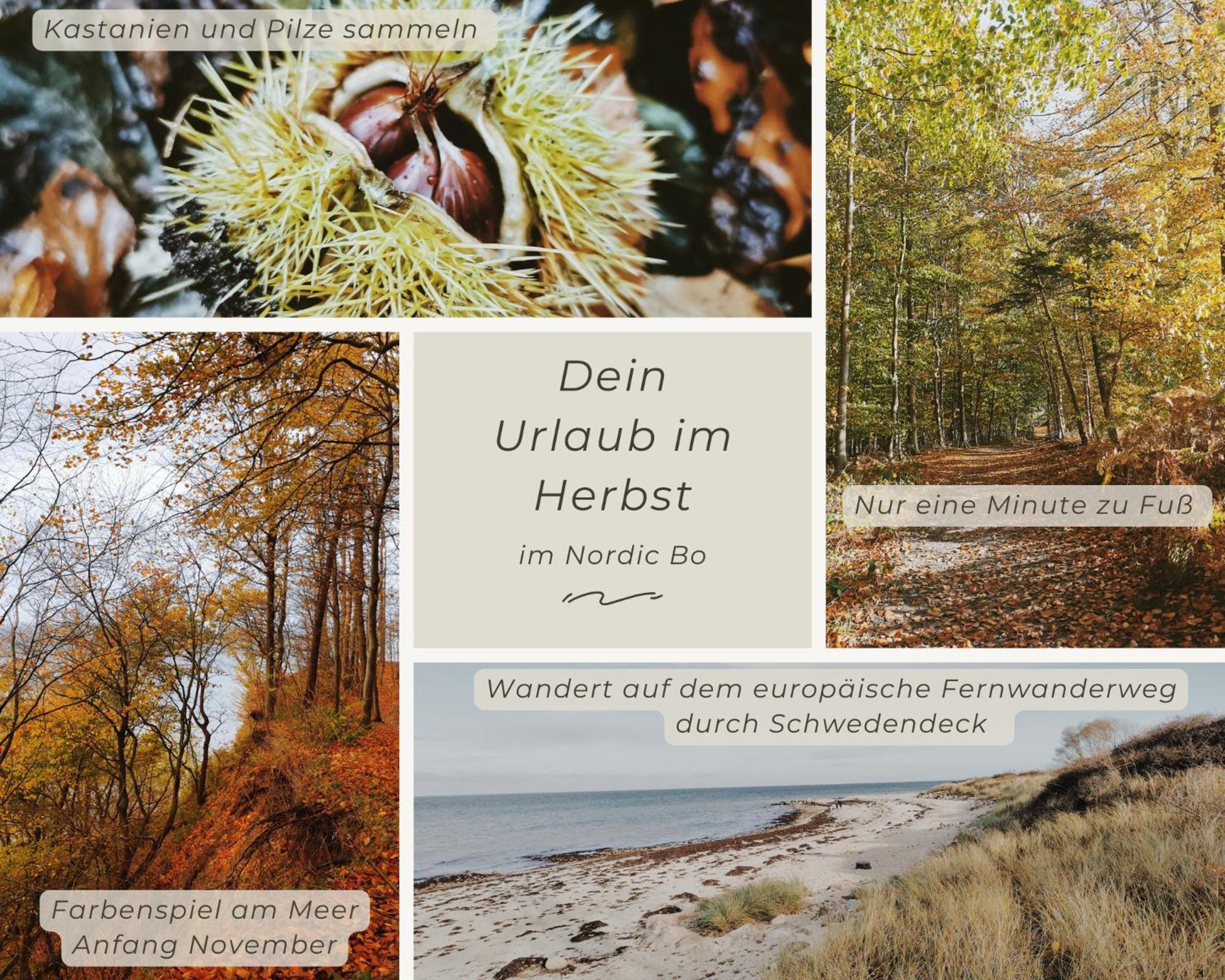 Surendorf Nordic Bo -Wellen Wald Und Wilde Kueste- Strandnahe Doppelhaushaelfte Mit Waldterrasse מראה חיצוני תמונה
